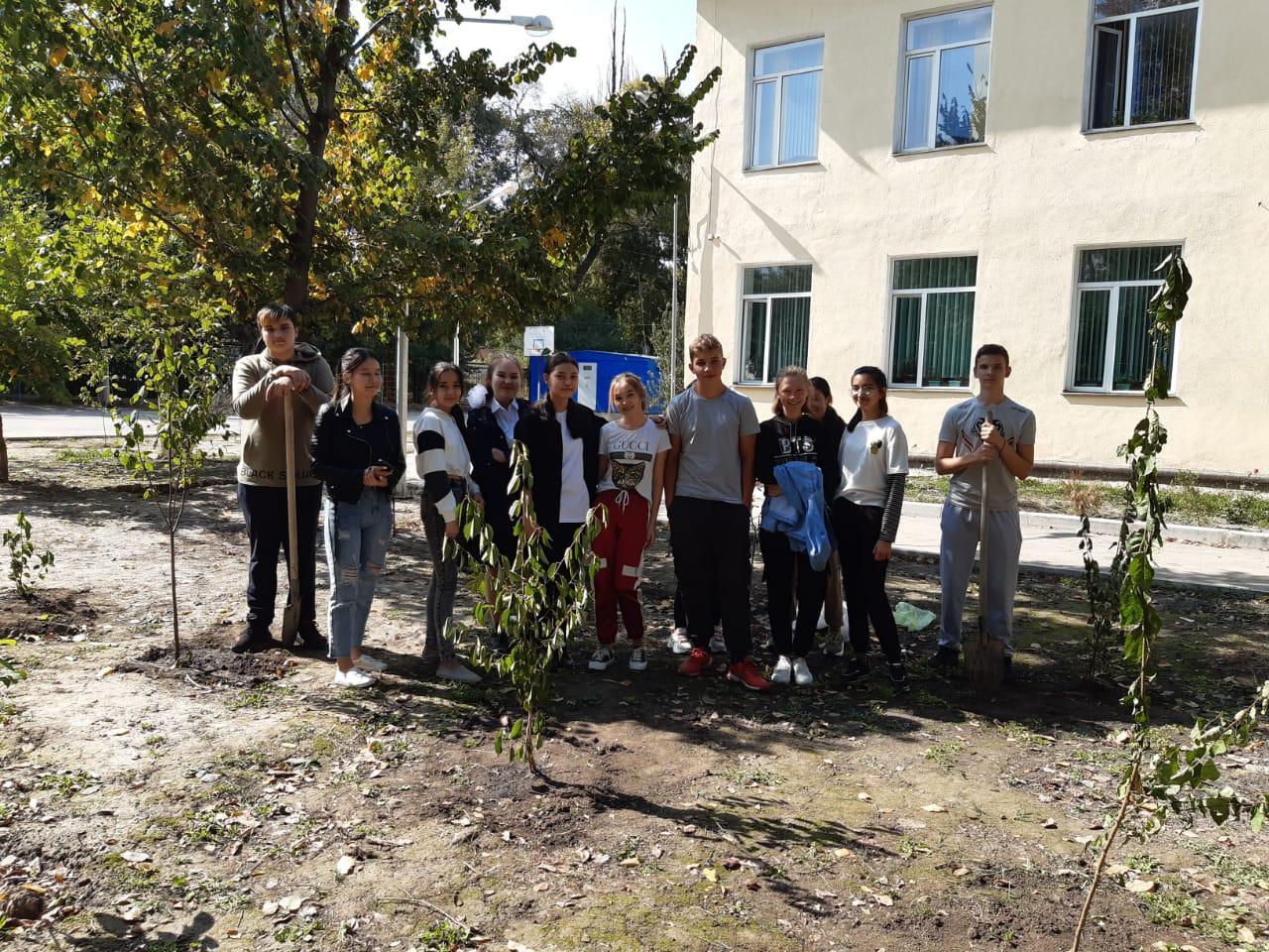 Учащиеся 9 «Г» класса в честь празднования  дня города Алматы посадили молодые саженцы на територии нашей школы.